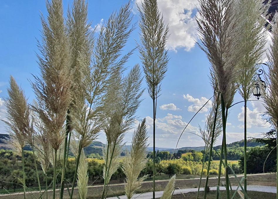 Domaine Lapeze Apartment Montcuq Екстериор снимка
